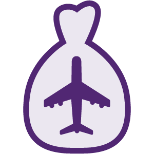 Airplane Icon Decorative